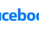 Visa partner logo